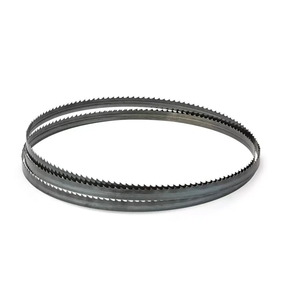 EİNHELL 4308036 TC-SB 245 L ŞERİT TESTERE